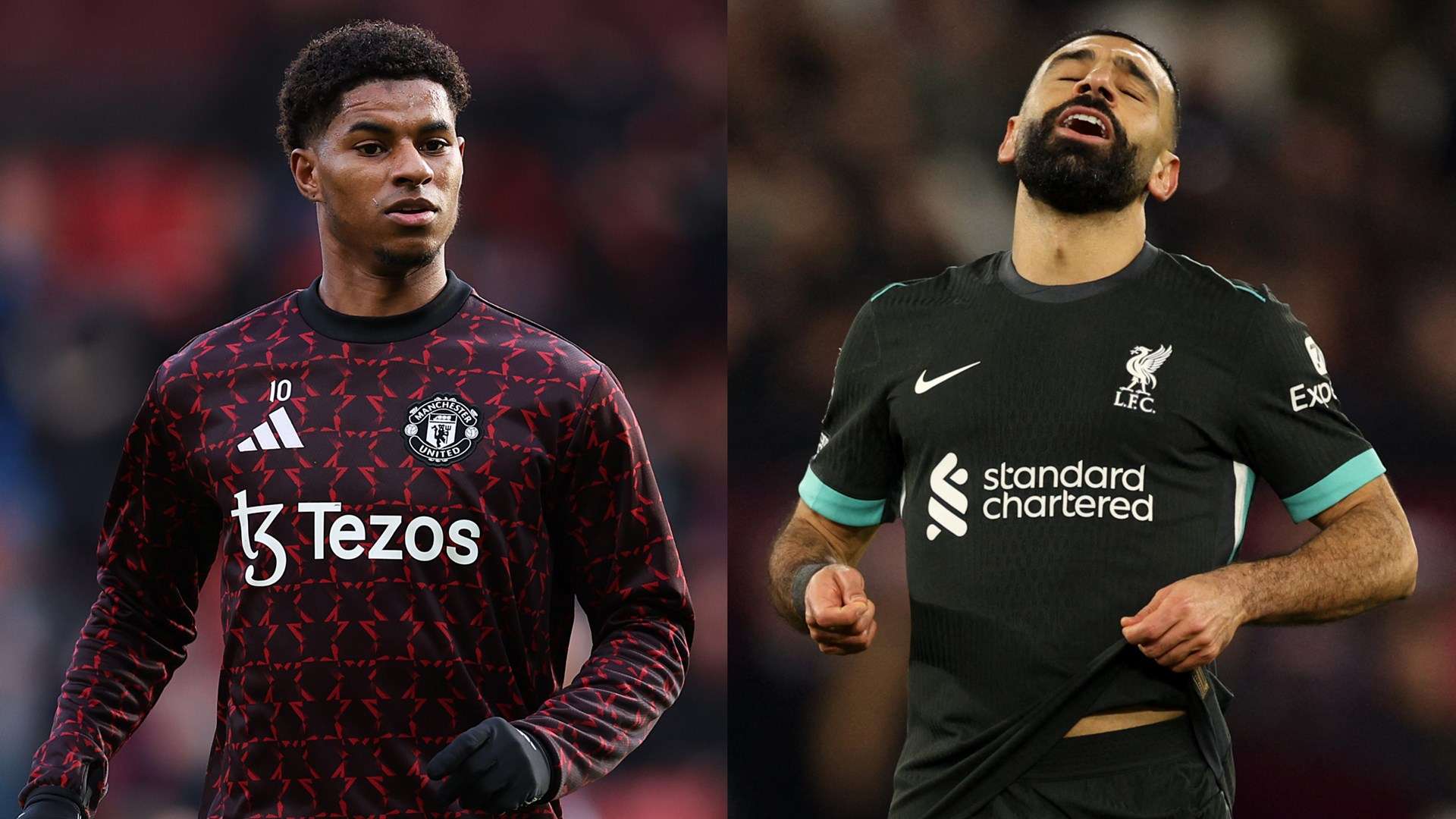 這不僅是為 這不僅是為